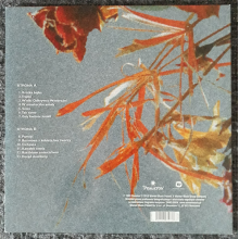 Turnau, Grzegorz - Pod Swiatlo