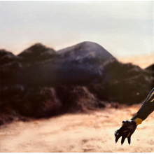 Various - Black Panther: Wakanda Forever (lp)