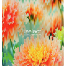 Various Artists - Global Underground: Select #5