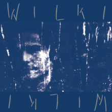 Wilki - Wilki (lp)