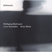 Wolfgang Muthspiel - Driftwood