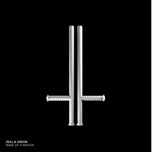 Zeal And Ardor - Wake Of A Nation