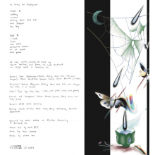 Harry the Nightgown - Ugh