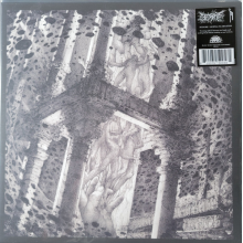 Bedsore & Mortal Incarnation - Split