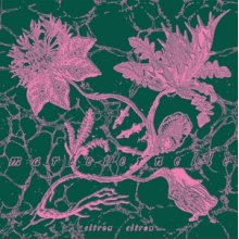 Citron Citron - Mareeternelle