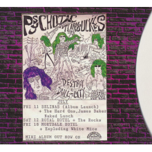 Psychotic Turnbuckles - Destroy Dull City