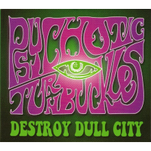 Psychotic Turnbuckles - Destroy Dull City