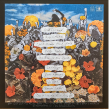 Smith Street Band - Don't Waste Your Anger