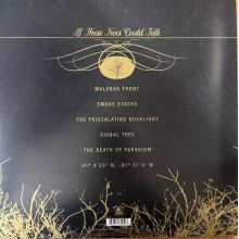 If These Trees Could Talk - If These Trees Could Talk