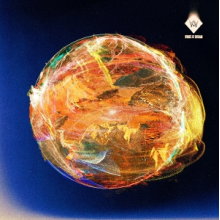 Woods of Birnam - Solaris