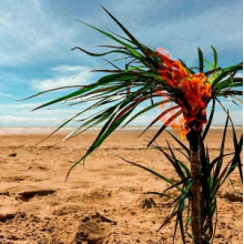 A Burial At Sea - A Burial At Sea