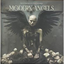 In Strict Confidence & Dennis Oster - Modern Angels