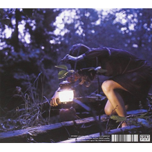 Tiny Vipers - Hands Across the Void