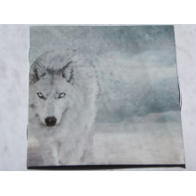 Winter In Eden - Court of Conscience