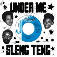 Smith, Wayne - Under Me Sleng Teng
