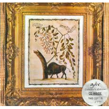 Soft Shoe - For Those Alone