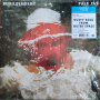 Pale Jay - Bewilderment