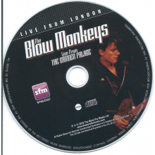 Blow Monkeys - Live From London