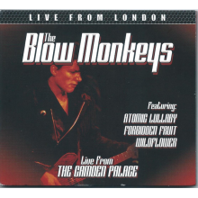 Blow Monkeys - Live From London