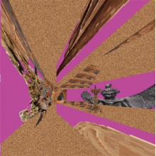 Ma Estrela - Tornada