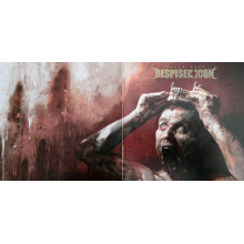 Despised Icon - Shadow Work