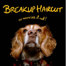 Breakup Haircut - No Worries If Not