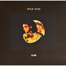 Wild Pink - Ilysm