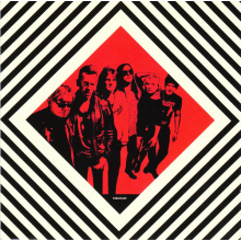 Blondie - Pollinator