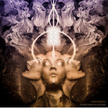 Mr. Bison - Echoes From the Universe