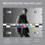 Anderson, Ian - Walk Into The Light LP