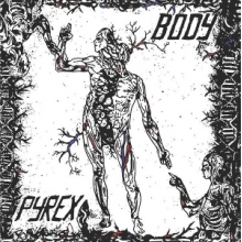 Pyrex - Body