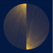 Ambrogio, Davide - Mater Nullius