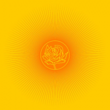 Adams, Ryan - Easy Tiger