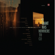 V/A - A Giant Has Nowhere To Go: Tongue Master Records Presents Selections From Comes With a Smile (2000-2006)