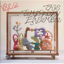 9m88 - This Temporary Ensemble Vol. 2