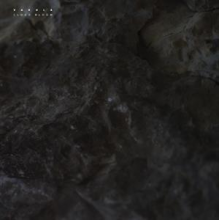 Vakula - Cloud Bloom