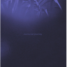 Asra - Nocturnal Journey