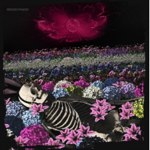 Dead Rabbitts - Redefined
