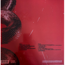 Downswing - And Everything Was Dark