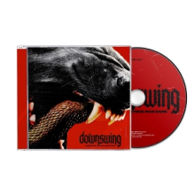 Downswing - And Everything Was Dark