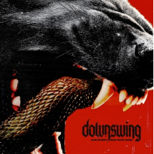 Downswing - And Everything Was Dark