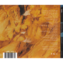 McNown, Max - Night Diving (the Cost of Growing Up)