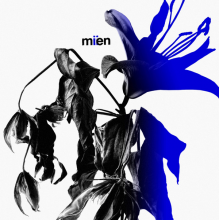 Mien - Miien