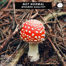 Not Normal - Modaern Qualitet