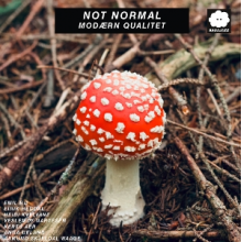 Not Normal - Modaern Qualitet
