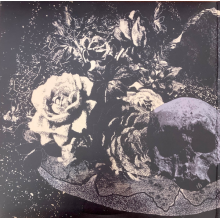 Primitive Man - Observance