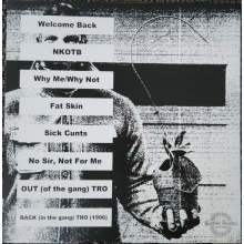 Skinhead - Everything Was Beautiful, and Nothing Hurt