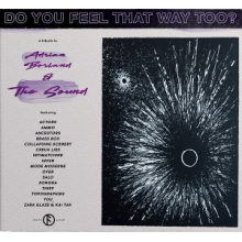 V/A - Do You Feel That Way Too?