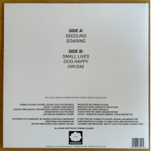 Volden, Havard - Small Lives
