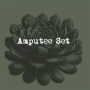 Amputee Set - 7-Two Live Ones From 2003